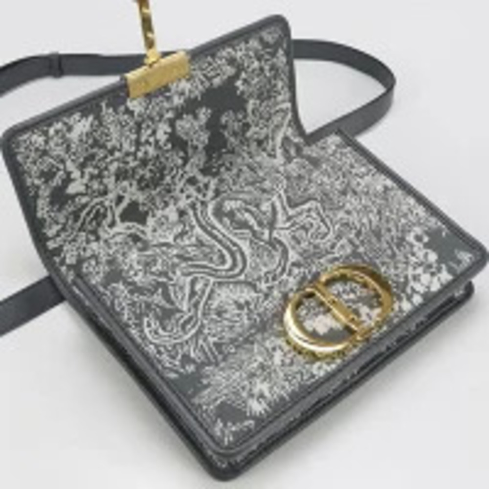 Christian Dior Crossbody Bag Montaigne Gray - Picture 9 of 10